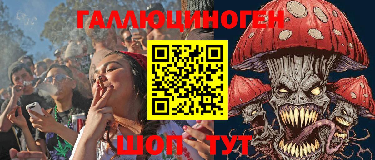 Псилоцибиновые грибы MAGIC MUSHROOMS Новозыбков